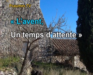 Avent Avent